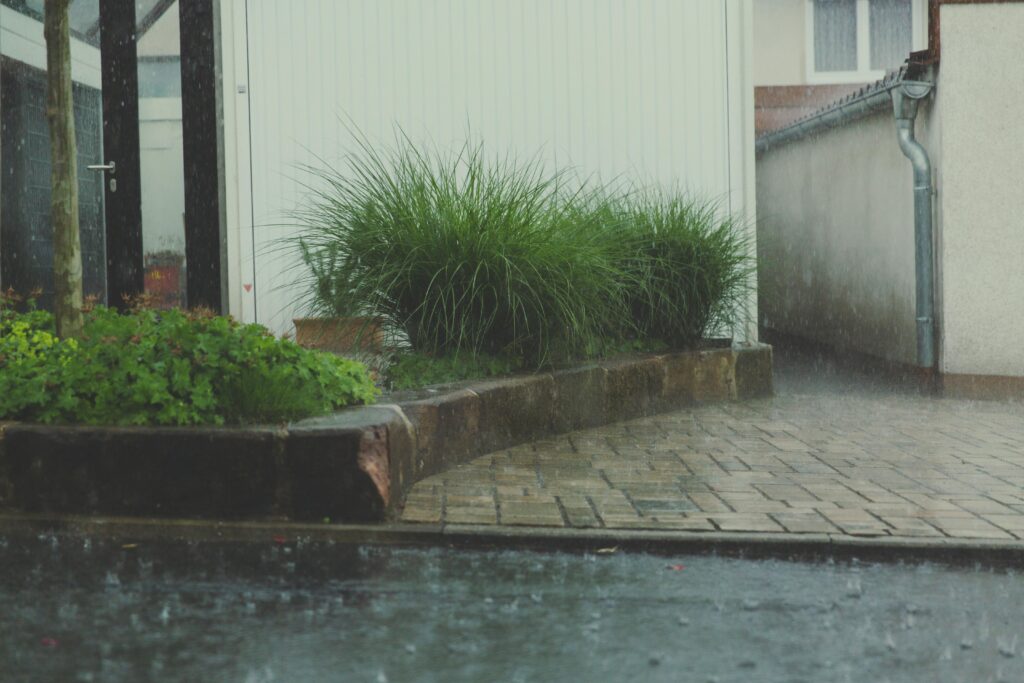 pexels-photo-115835-115835 A rainy day in a residential courtyard with lush greenery and stone pavement.